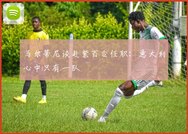 马尔蒂尼谈赴紫百合任职：意大利心中只有一队