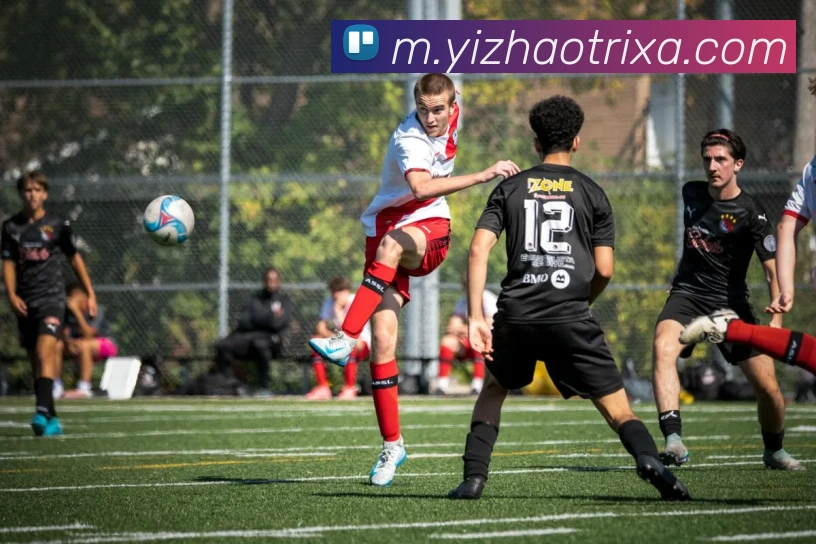 App Interface Preview